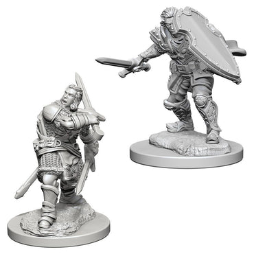 Nolzur's Marvelous Miniatures: Human Paladin (Unpainted)