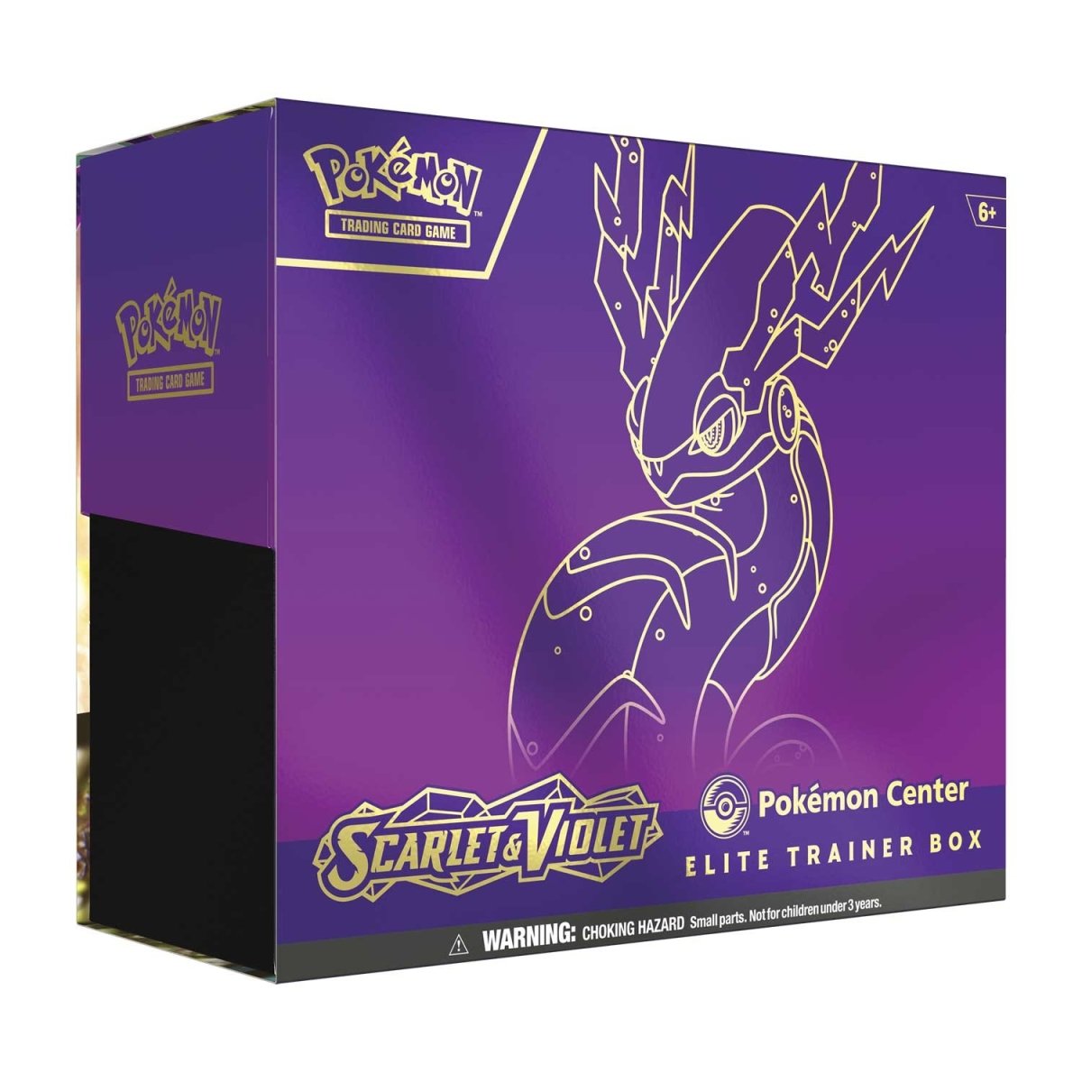 Iron Bundle (066) (Pokemon Center Exclusive) [Scarlet & Violet: Black Star  Promos]